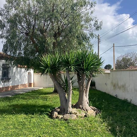 Chalet En Chiclana Novo Sancti Petri Exteriör bild