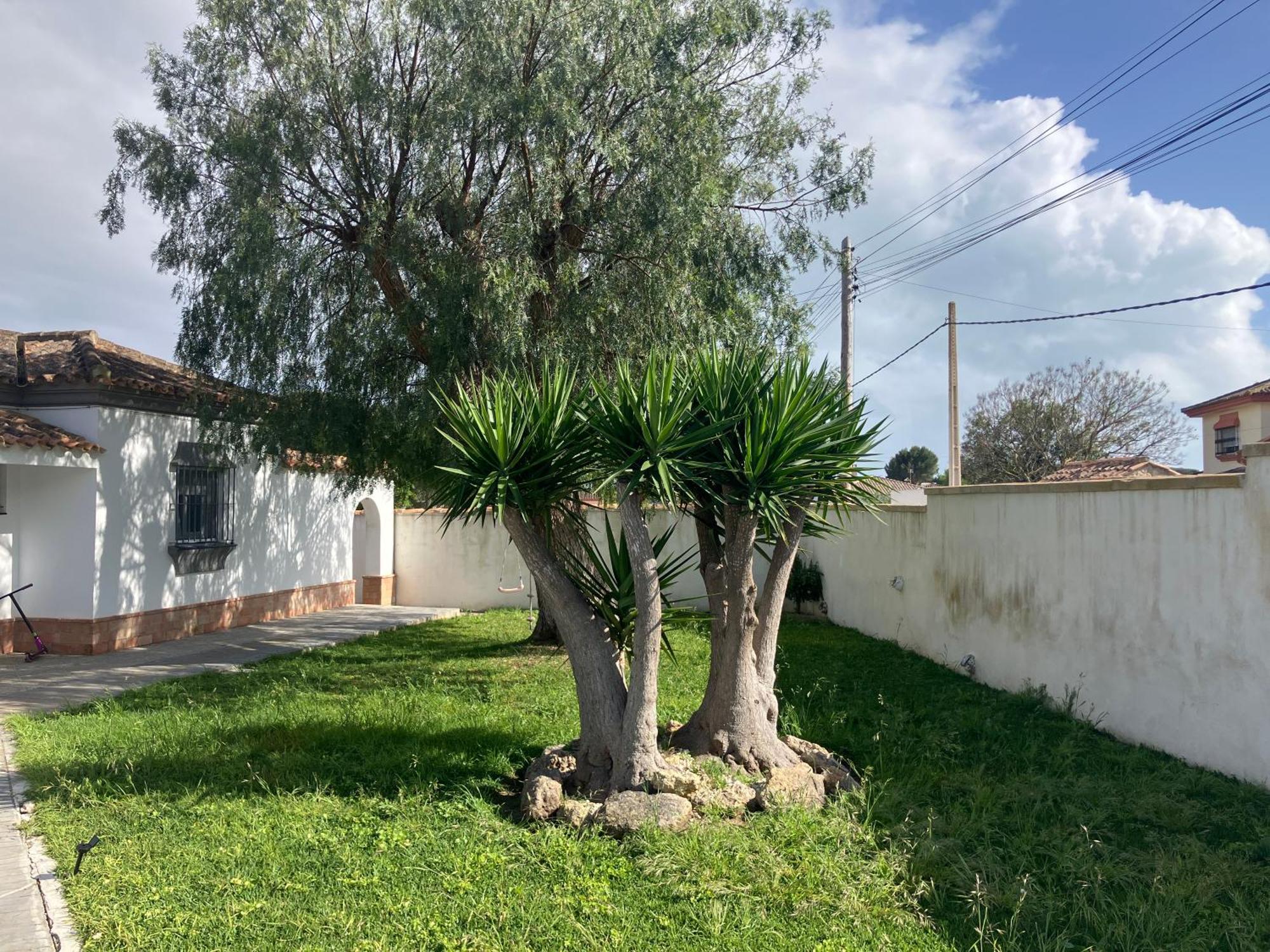 Chalet En Chiclana Novo Sancti Petri Exteriör bild